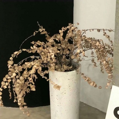 江油FurryQQ群介绍